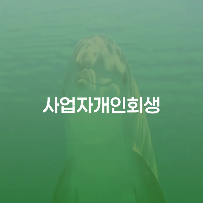 천안시 개인회생법무사추천 개인파산 해결 할 수 있을까?