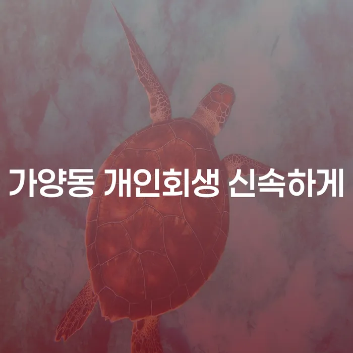 가양동 개인회생 신속하게