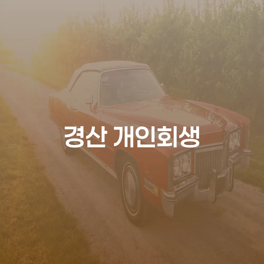 경산 개인회생의 필요성과 절차