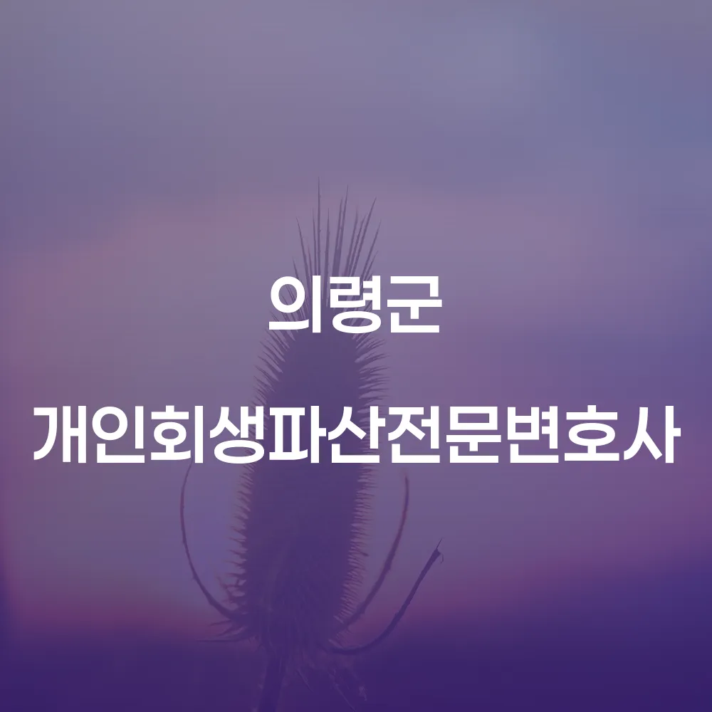 의령군 개인회생 전문 변호사의 안내와 사례 분석