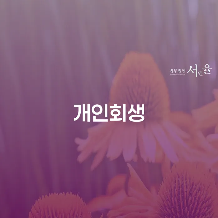 개인회생 상도동 사례와 절차