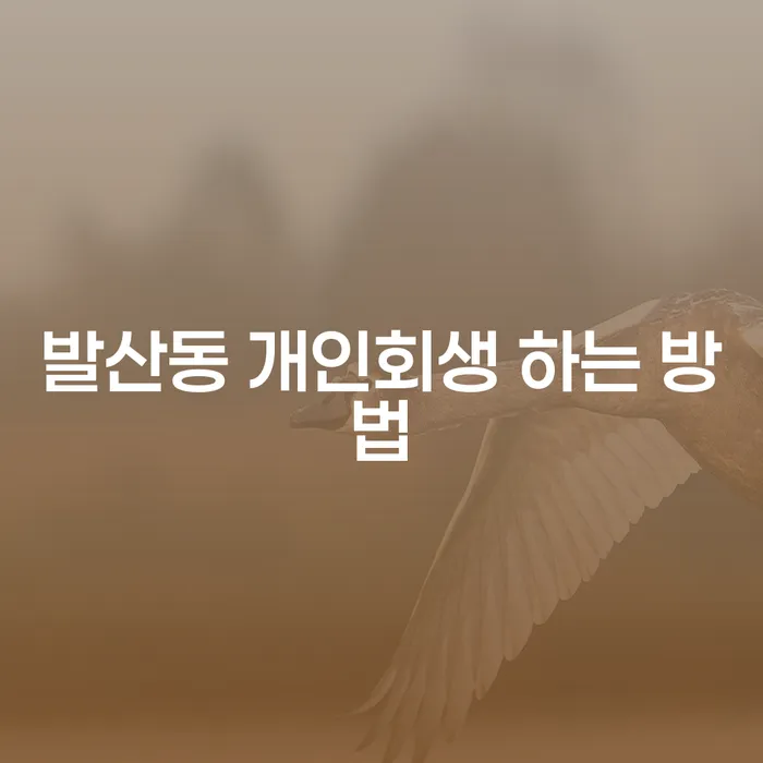 발산동에서 개인회생을 성공적으로 진행하는 방법은?