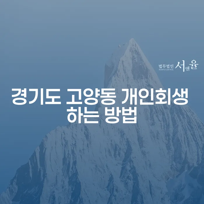 경기도 고양동에서 개인회생을 성공적으로 진행하는 방법은 무엇일까요?