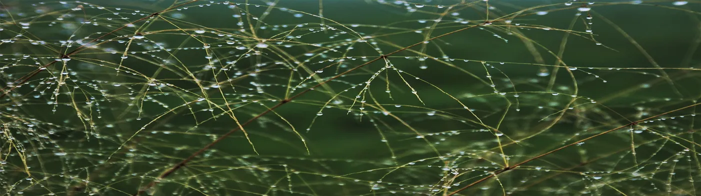 법무법인 서앤율