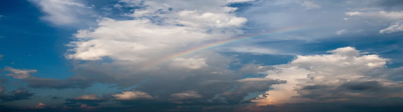 법무법인 서앤율
