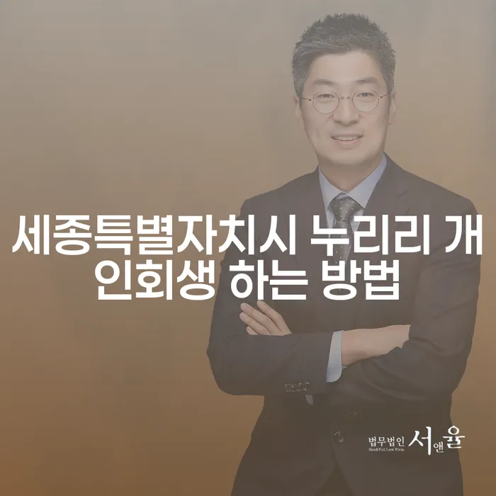 세종특별자치시 누리리 개인회생 어떻게 해야 할까요?