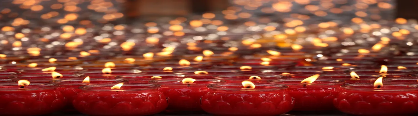 법무법인 서앤율