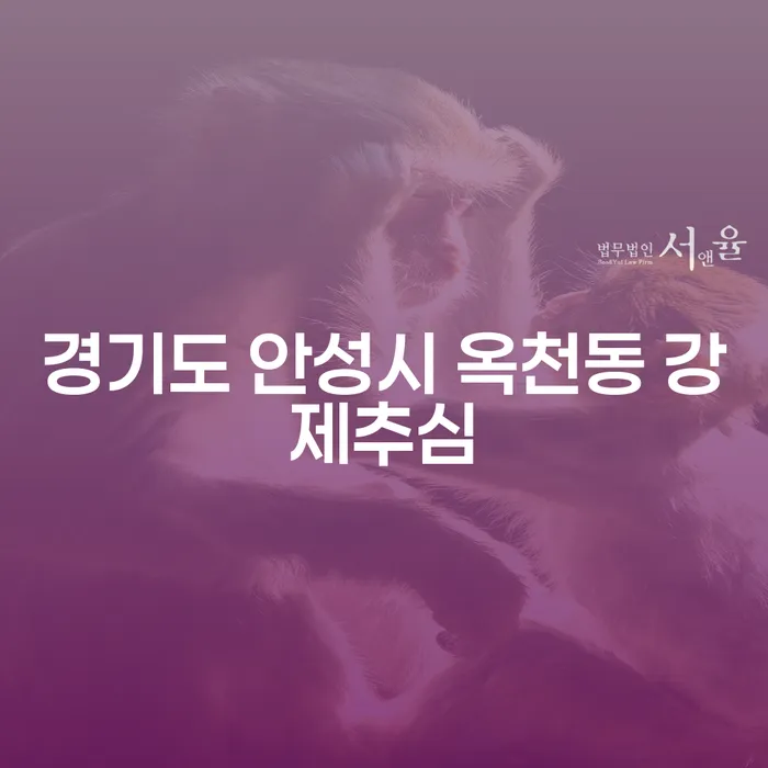 경기도 안성시 옥천동 강제추심과 인천법원개인회생, 어떻게 해결할까요?