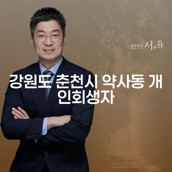 강원도 춘천시 약사동 개인회생자, 두 번째 개인회생이 가능할까요?