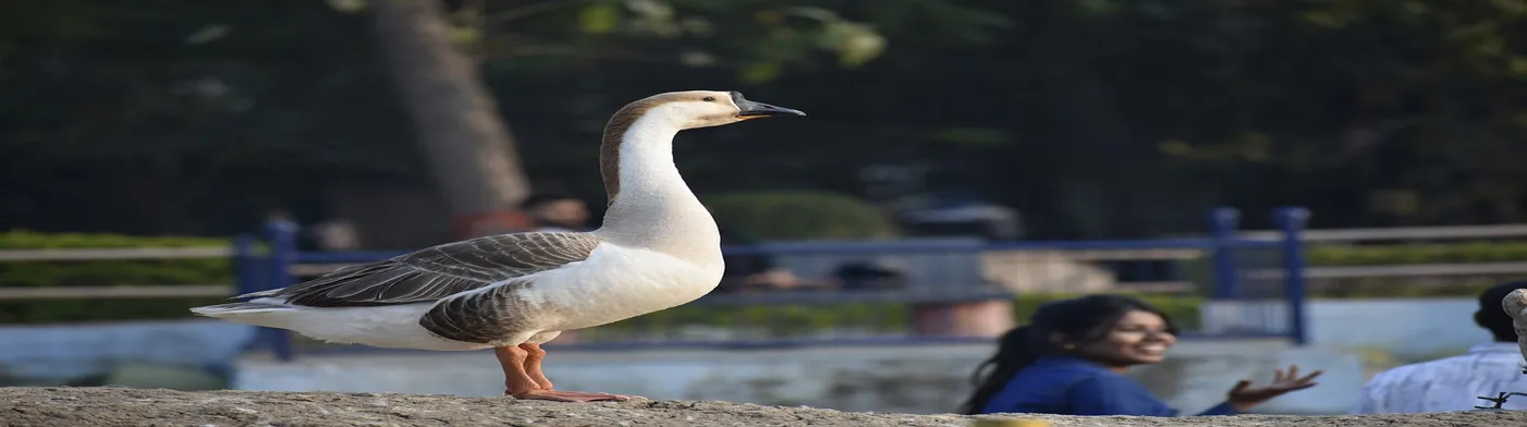 법무법인 서앤율