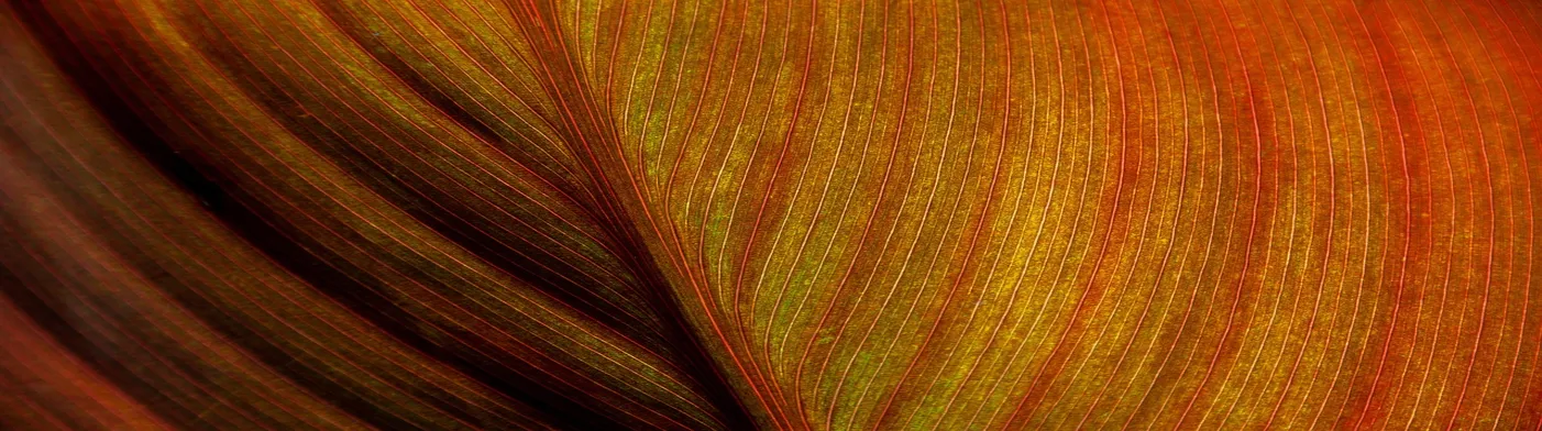 법무법인 서앤율